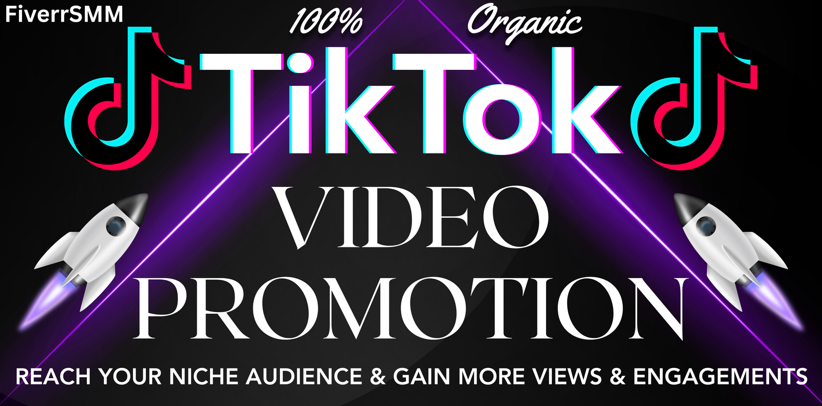 I will promote your TikTok video to reach niche audience and gain more views & engagement — service preview