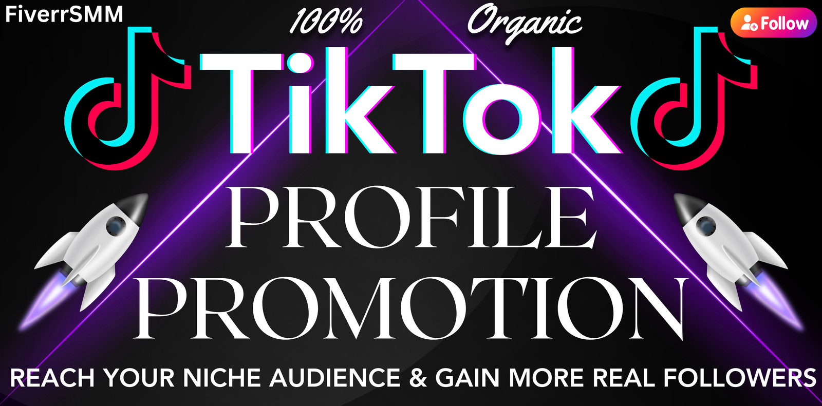 I will promote your TikTok profile to reach niche audience and gain more real followers — service preview